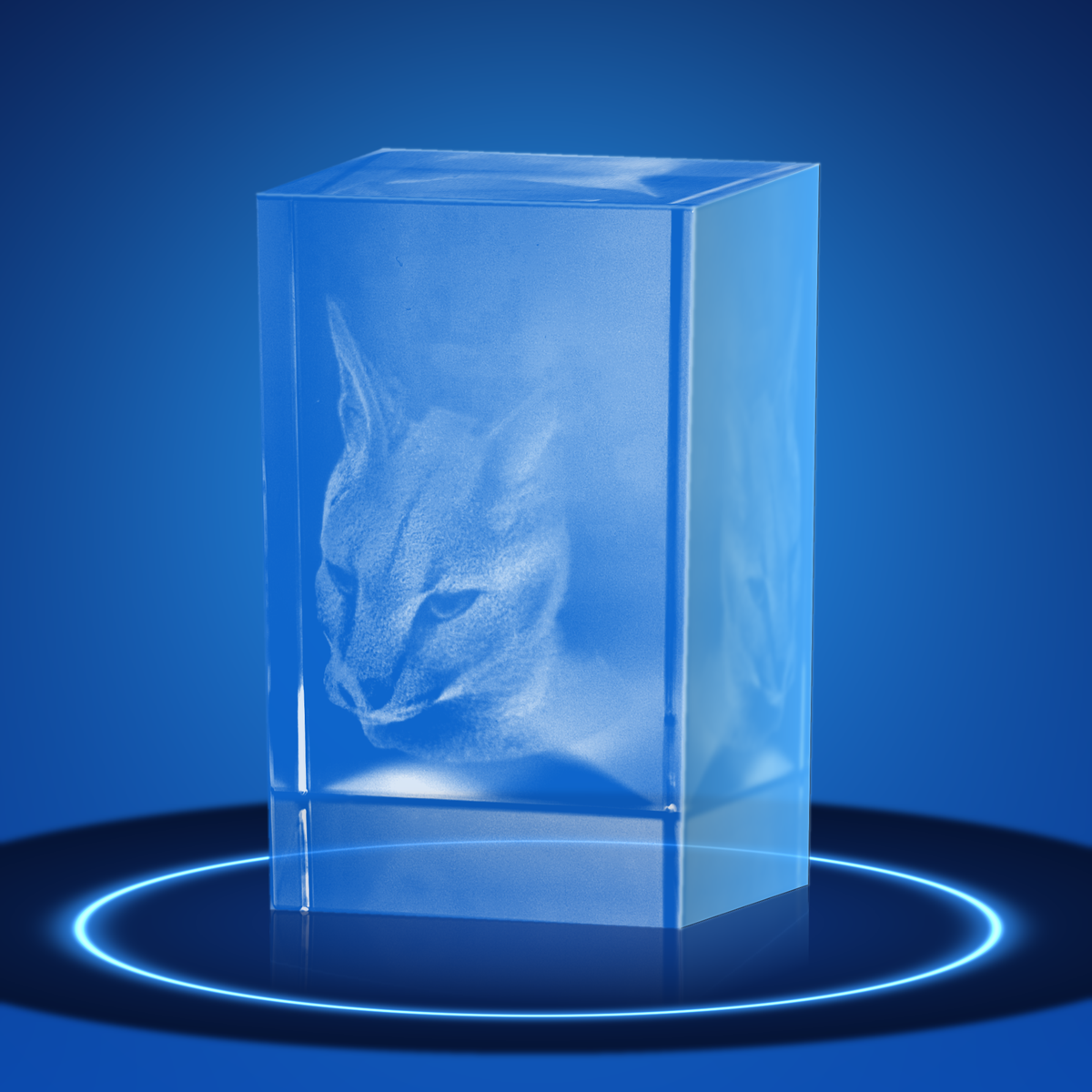 3D Photo Crystal