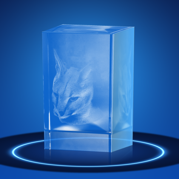 3D Photo Crystal